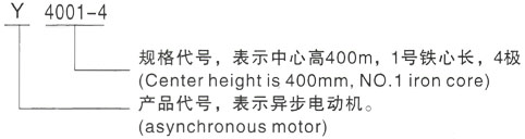 西安泰富西玛Y系列(H355-1000)高压YJTG-355L1-2A/280KW三相异步电机型号说明