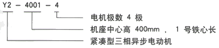 YR系列(H355-1000)高压YJTG-355L1-2A/280KW三相异步电机西安西玛电机型号说明